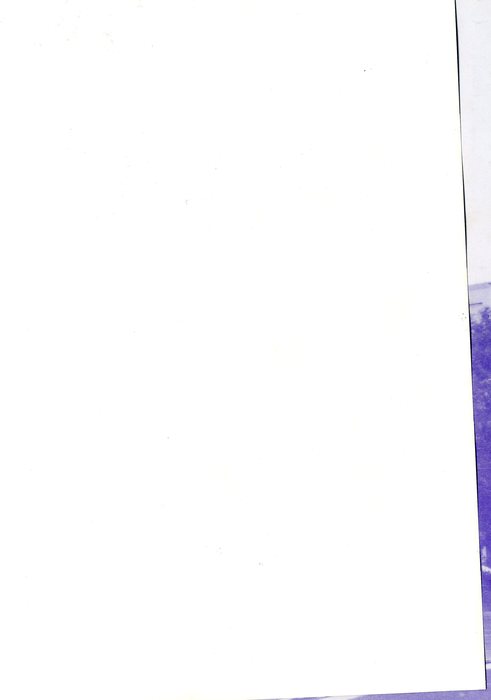 p003 p003