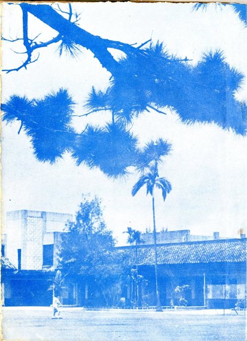 p003 p003