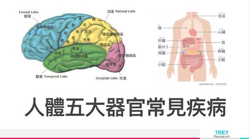 自主學習 (2)