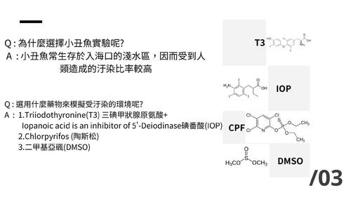 探討人為汙染對海洋生物的影響(1)