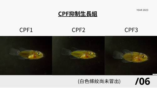 探討人為汙染對海洋生物的影響(1)