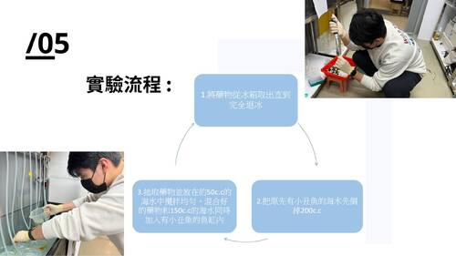 探討人為汙染對海洋生物的影響(1)