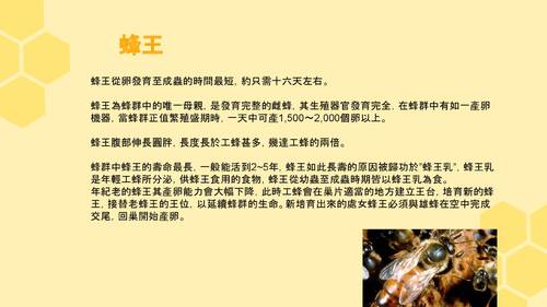 112-21-自主學習_蜜蜂認識及蜂場觀摩