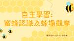 蜜蜂認識及蜂場觀摩