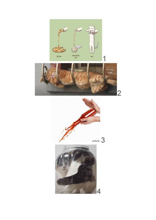 為何貓咪是液體