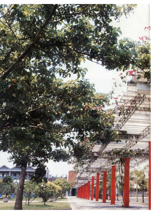 民71羅青19期 民71羅青19期