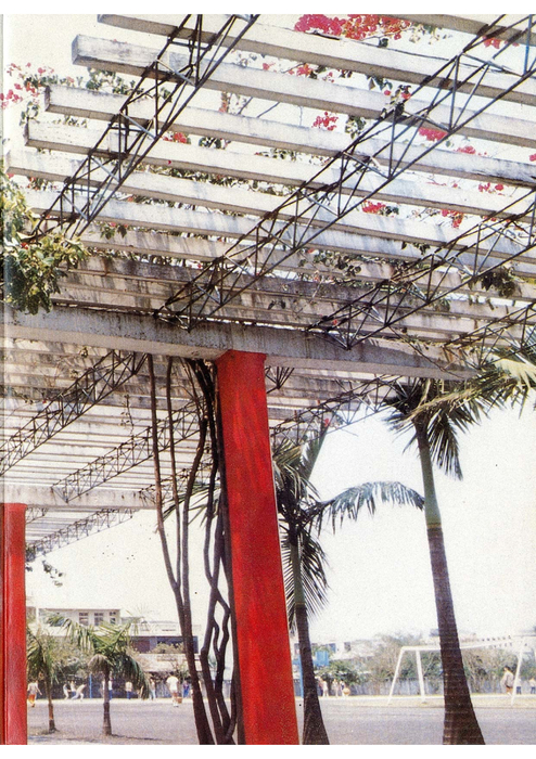 民71羅青19期 民71羅青19期