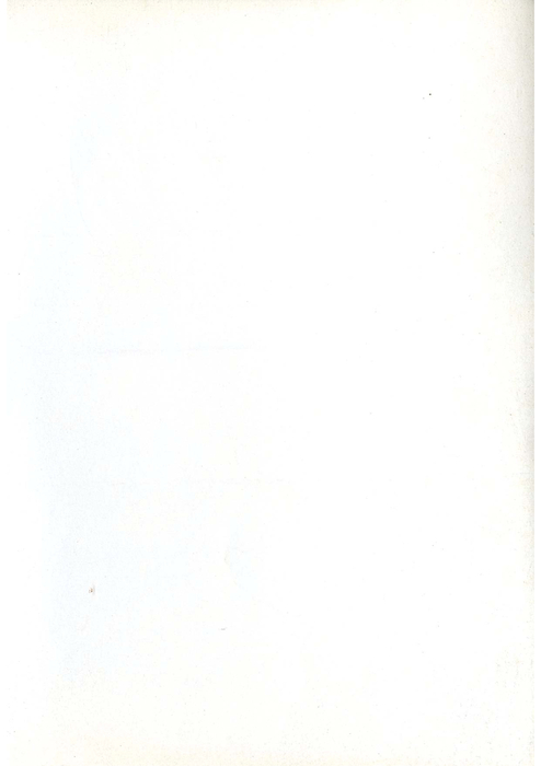民國81羅高青年第34期