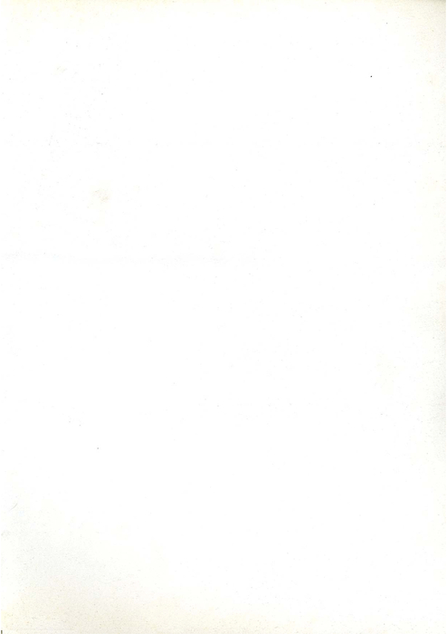民國82羅高青年第35期
