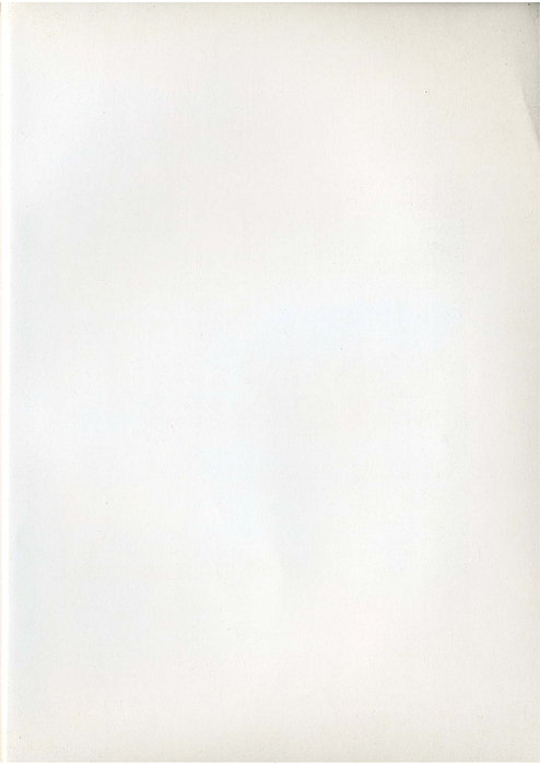 民國85羅高青年第40期